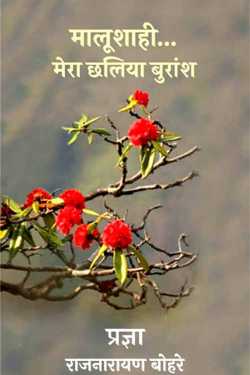राजनारायण बोहरे द्वारा लिखित  मालूशाही मेरा छलिया बुराँश-प्रज्ञा बुक Hindi में प्रकाशित