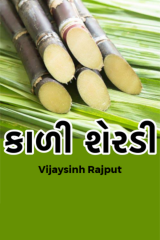 Vijaysinh Rajput profile