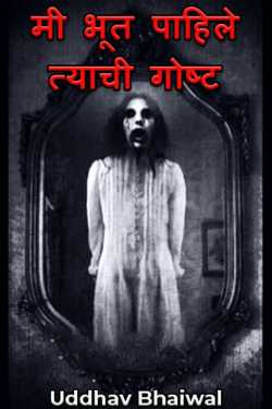 मी भूत पाहिले त्याची गोष्ट by Uddhav Bhaiwal in Marathi