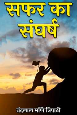 नंदलाल मणि त्रिपाठी द्वारा लिखित  struggle of travel बुक Hindi में प्रकाशित