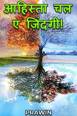 PRAWIN द्वारा लिखित  आहिस्ता चल ए ज़िंदगी! बुक Hindi में प्रकाशित