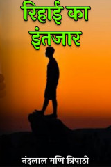 नंदलाल मणि त्रिपाठी profile