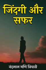 नंदलाल मणि त्रिपाठी profile