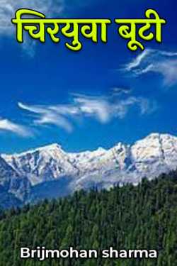 Brijmohan sharma द्वारा लिखित  Chityuva Buti - 2 बुक Hindi में प्रकाशित