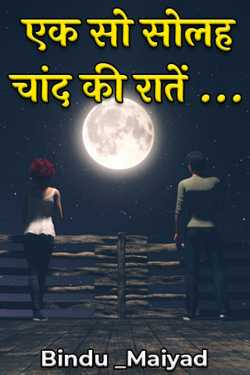 Bindu _Maiyad द्वारा लिखित  One hundred and sixteen moon nights... बुक Hindi में प्रकाशित
