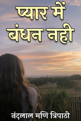 नंदलाल मणि त्रिपाठी profile