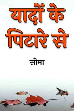 सीमा द्वारा लिखित  यादों के पिटारे से बुक Hindi में प्रकाशित