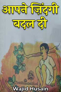 Wajid Husain द्वारा लिखित  आपने ज़िंदगी बदल दी बुक Hindi में प्रकाशित