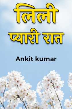 ANKIT YADAV द्वारा लिखित  लिली - प्यारी रात बुक Hindi में प्रकाशित