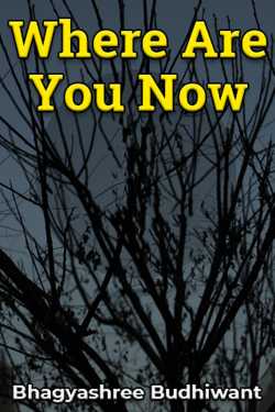 Where Are You Now by Bhagyashree Budhiwant in English