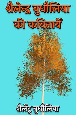 शैलेन्द्र बुधौलिया की कवितायेँ - 1 by शैलेंद्र् बुधौलिया in Hindi