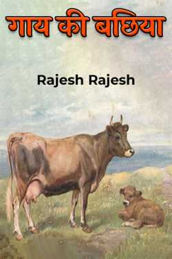 calf of cow by Rajesh Rajesh in Hindi