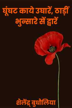 शैलेंद्र् बुधौलिया द्वारा लिखित  ghunghat kahe ughaaren बुक Hindi में प्रकाशित