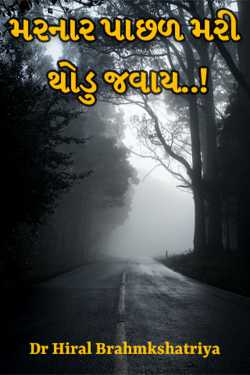 મરનાર પાછળ મરી થોડુ જવાય..! દ્વારા Dr Hiral Brahmkshatriya in Gujarati