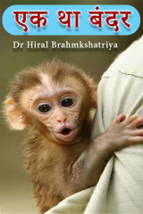 Dr Hiral Brahmkshatriya profile