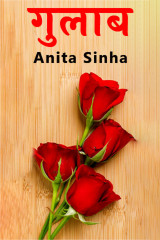 Anita Sinha profile