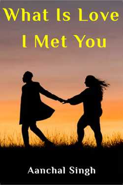 What Is Love I Met You by Aanchal Singh in English