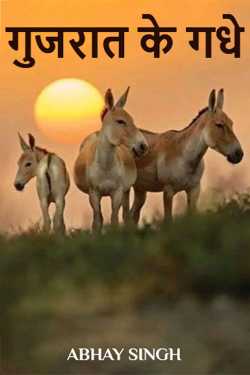 Donkeys of Gujarat by ABHAY SINGH in English