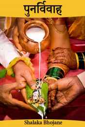 पुनर्विवाह - भाग १