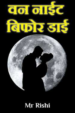 Mr Rishi द्वारा लिखित  One Night Before Die बुक Hindi में प्रकाशित