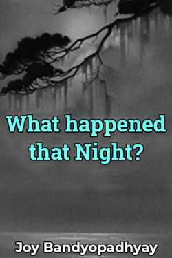 What happened that Night? by Joy Bandyopadhyay