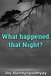 What happened that Night?