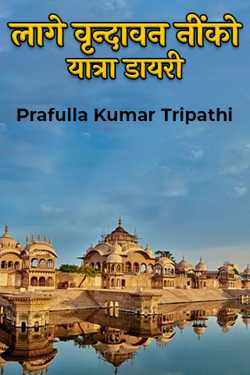 लागे वृन्दावन नींको - यात्रा डायरी द्वारा  Prafulla Kumar Tripathi in Hindi