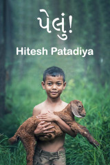 Hitesh Patadiya profile