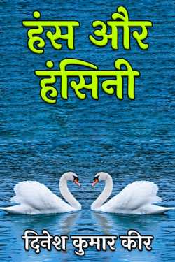 swan and swan by दिनेश कुमार कीर in Hindi