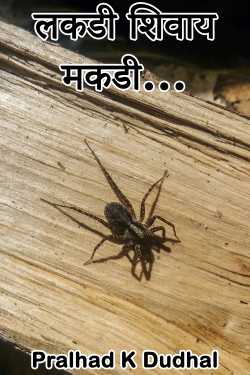 Wood and spider... by Pralhad K Dudhal in Marathi