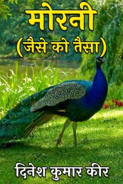 peahen (tit for tat) by दिनेश कुमार कीर in Hindi