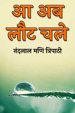 नंदलाल मणि त्रिपाठी द्वारा लिखित  आ अब लौट चले बुक Hindi में प्रकाशित