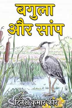 heron and snake by दिनेश कुमार कीर in Hindi