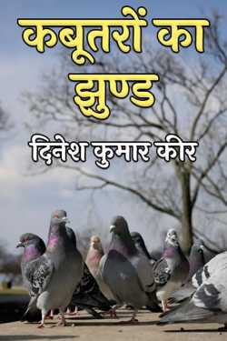 flock of pigeons by दिनेश कुमार कीर in Hindi