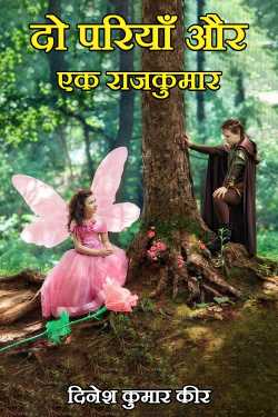 दो परियाँ और एक राजकुमार by DINESH KUMAR KEER in Hindi