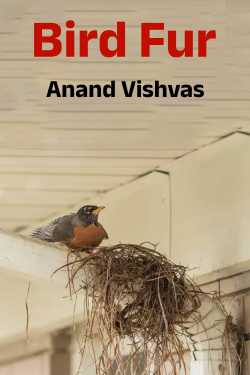 Bird Fur by Anand Vishvas in English