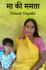 Dinesh Tripathi profile