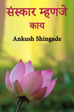 संस्कार म्हणजे काय by Ankush Shingade in Marathi