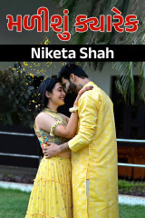 Niketa Shah profile