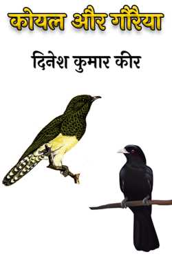 cuckoo and sparrow by दिनेश कुमार कीर