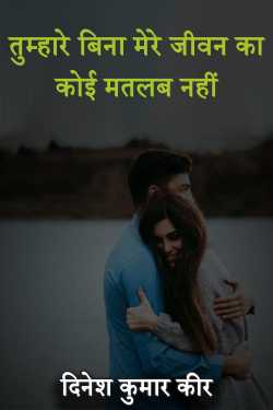 तुम्हारे बिना मेरे जीवन का कोई मतलब नहीं by DINESH KUMAR KEER in Hindi