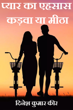 प्यार का एहसास  कड़वा या मीठा by DINESH KUMAR KEER in Hindi