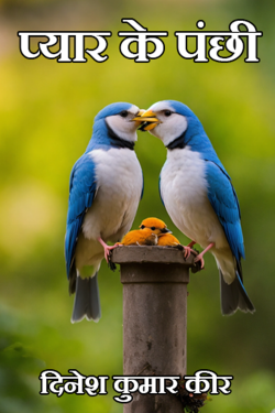 love birds by DINESH KUMAR KEER