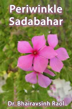 Periwinkle Sadabahar by Dr. Bhairavsinh Raol in English