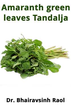 Amaranth green leaves Tandalja by Dr. Bhairavsinh Raol