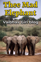 Vaibhav Giri blog profile