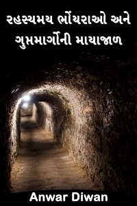 રહસ્યમય ભોંયરાઓ અને ગુપ્તમાર્ગોની માયાજાળ