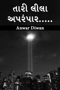 તારી લીલા અપરંપાર.....