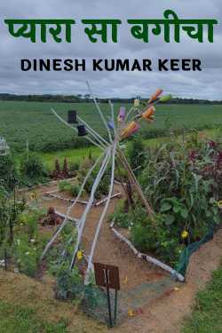 प्यारा सा बगीचा by DINESH KUMAR KEER in Hindi