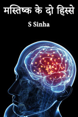 S Sinha profile